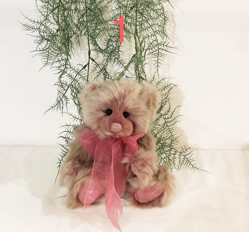 Charlie Bear Saturday 2025