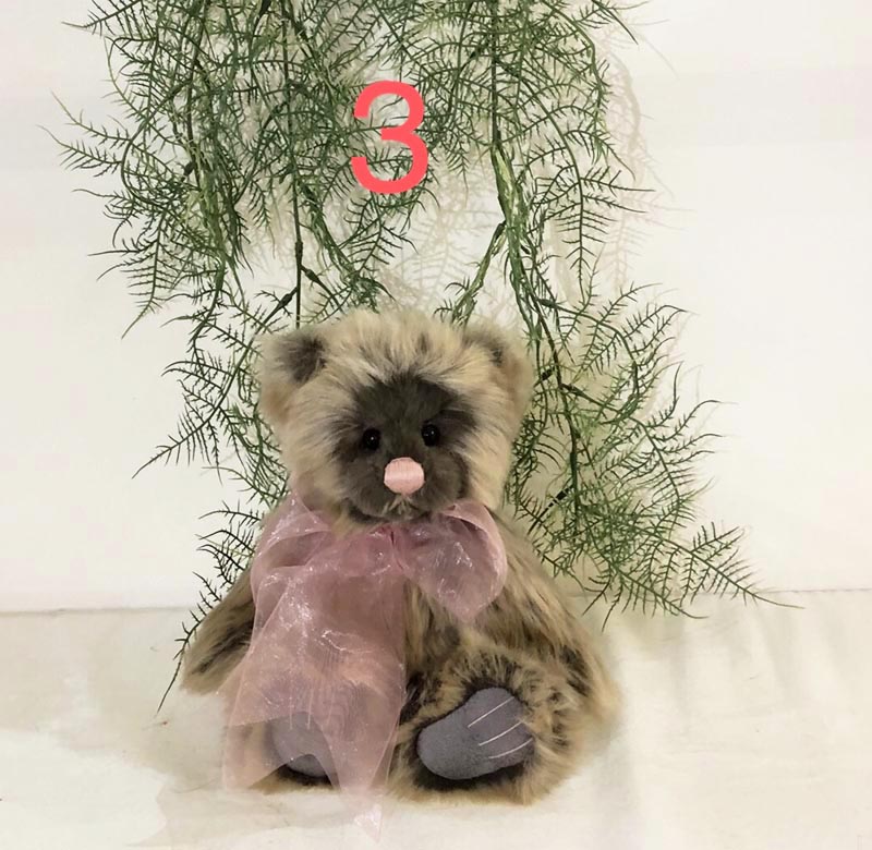 Charlie Bear Sunday 2025 - Image 3