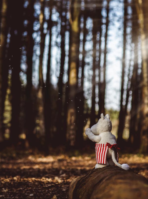 Charlie Bear Moominmamma - Image 6