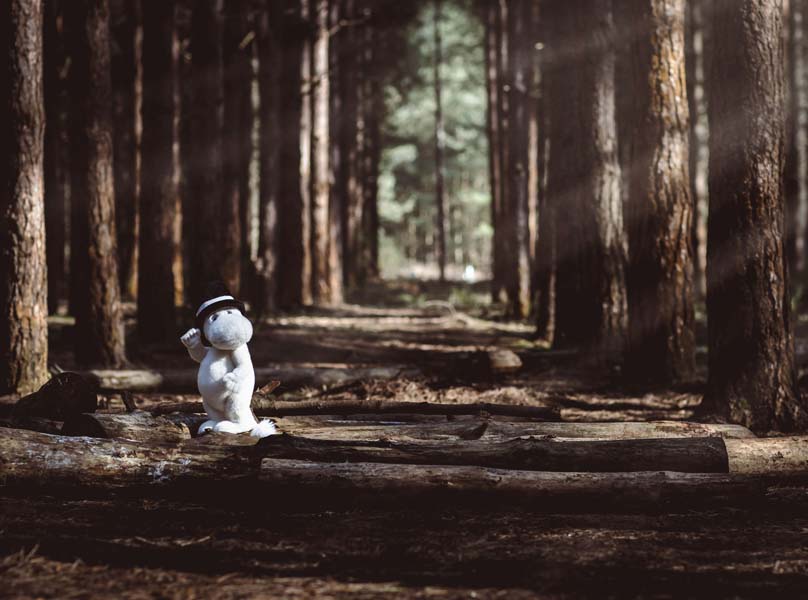 Charlie Bears Moominpappa - Image 3