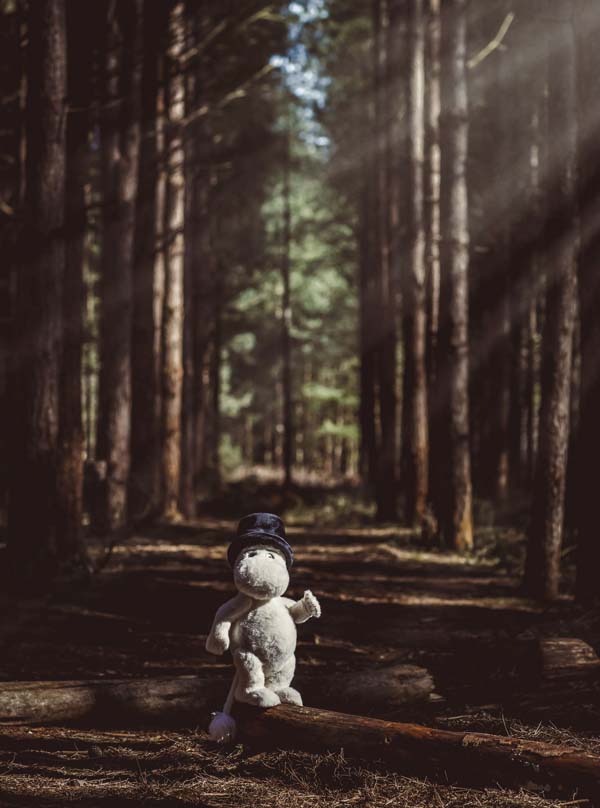 Charlie Bears Moominpappa